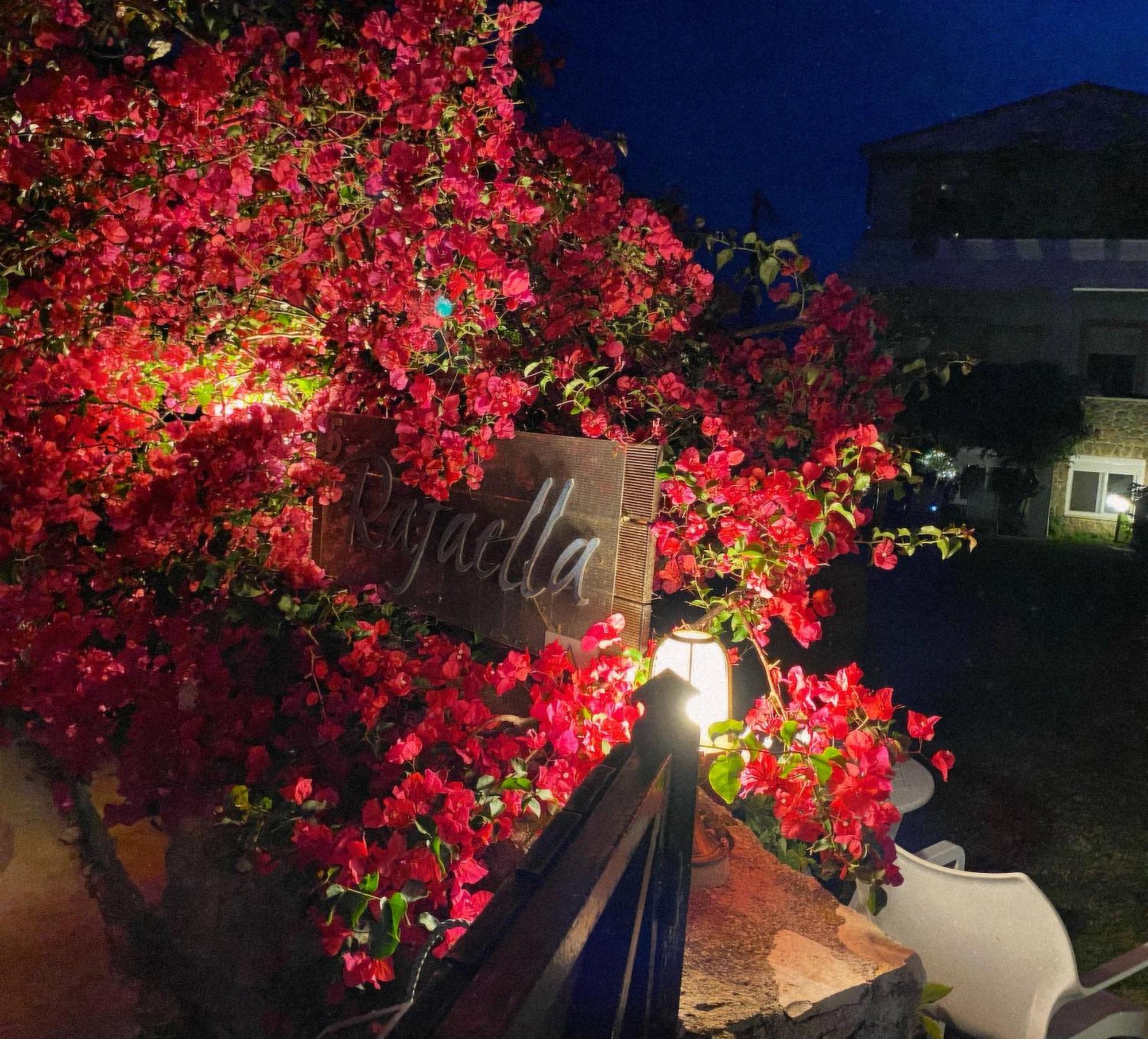Kokkónion Irene'S Maisonette At Rafaella Resort מראה חיצוני תמונה