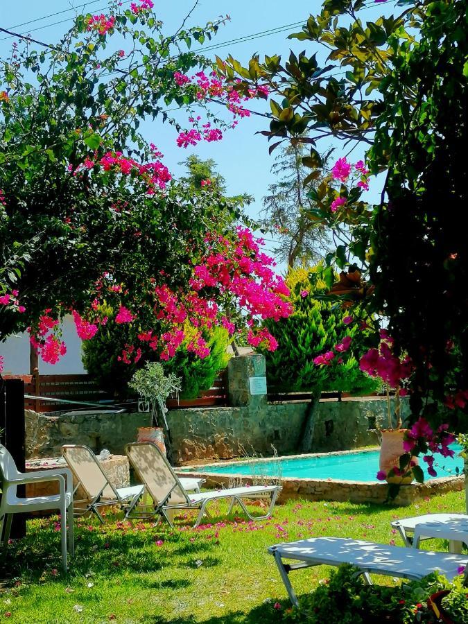 Kokkónion Irene'S Maisonette At Rafaella Resort מראה חיצוני תמונה